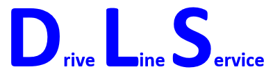 Logo DLS