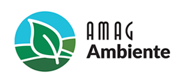 Logo AMAG