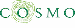 Logo COSMO